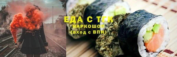 индика Абаза