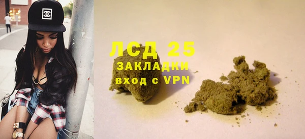 индика Абаза