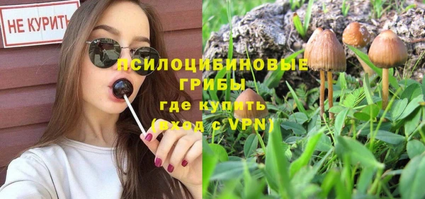 прущая мука Абдулино
