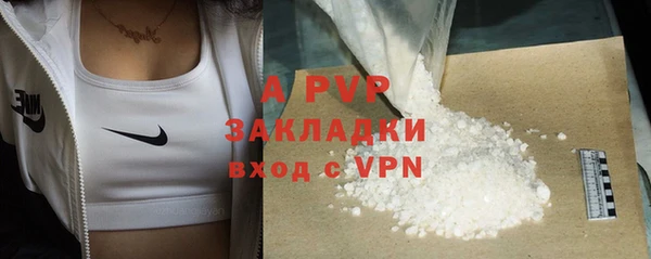 индика Абаза