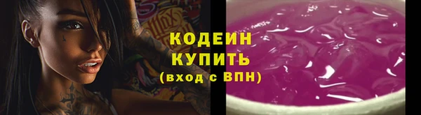индика Абаза