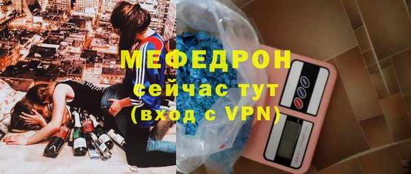индика Абаза