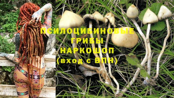 прущая мука Абдулино