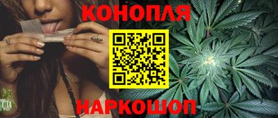 крисы Кингисепп