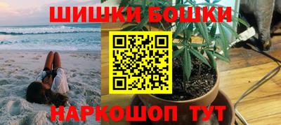 крисы Кингисепп