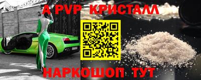 крисы Кингисепп