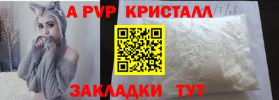 крисы Кингисепп