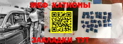 крисы Кингисепп