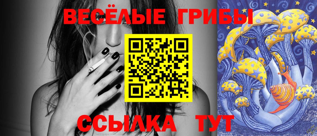 Галлюциногенные грибы прущие грибы Старая Купавна